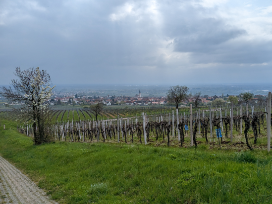 Hohe Loog, Neustadt
16. April 2023